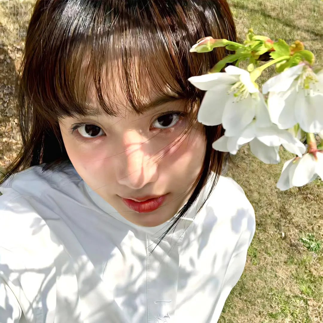 十六岁的花季